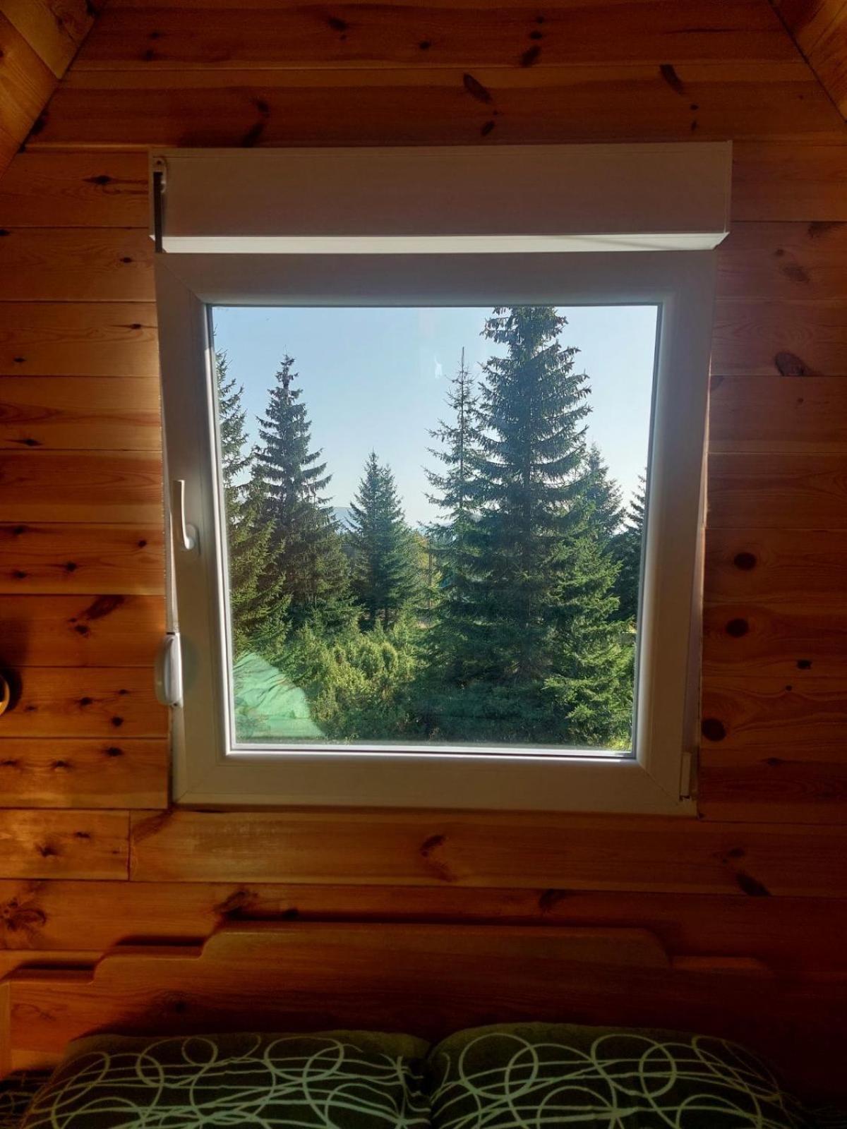 Villa Pejovic Žabljak Extérieur photo